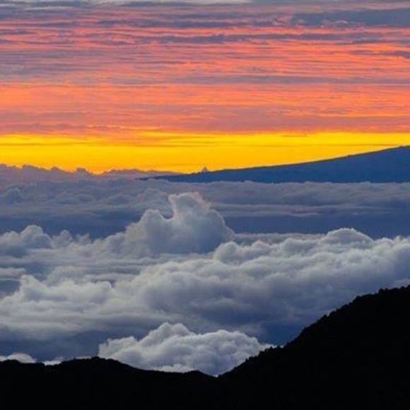 Meet your Posher, Brian - Picture 1 of 1